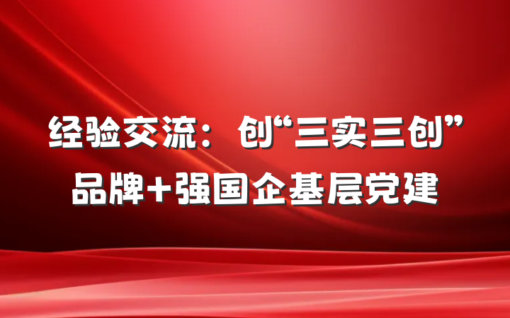 经验交流：创“三实三创”品牌 强国企基层党建