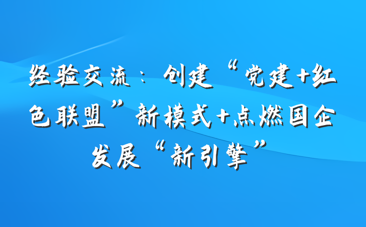 经验交流：创建“党建+红色联盟”新模式 点燃国企发展“新引擎”