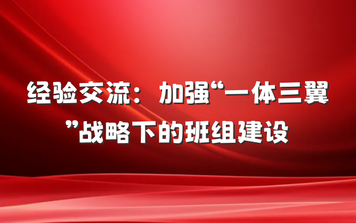 经验交流：加强“一体三翼”战略下的班组建设