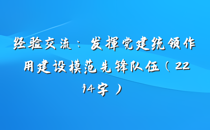 经验交流：发挥党建统领作用建设模范先锋队伍（2294字）