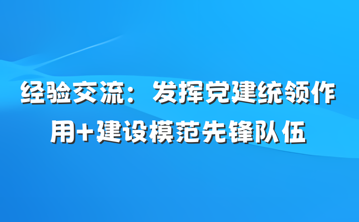 经验交流：发挥党建统领作用 建设模范先锋队伍