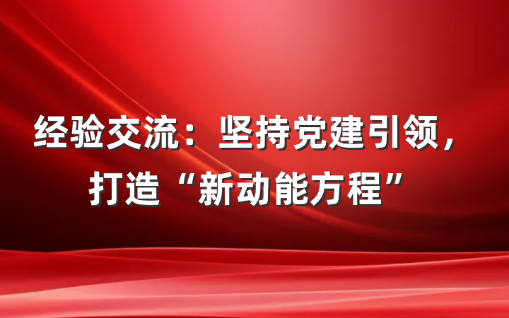 经验交流：坚持党建引领，打造“新动能方程”