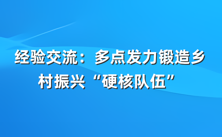 经验交流：多点发力锻造乡村振兴“硬核队伍”