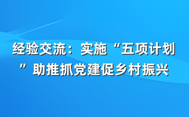 经验交流：实施“五项计划”助推抓党建促乡村振兴