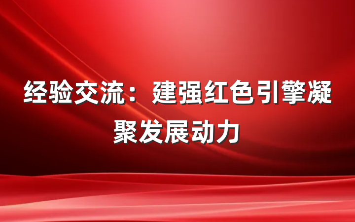经验交流：建强红色引擎凝聚发展动力