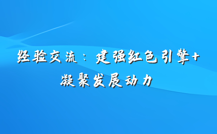 经验交流：建强红色引擎 凝聚发展动力