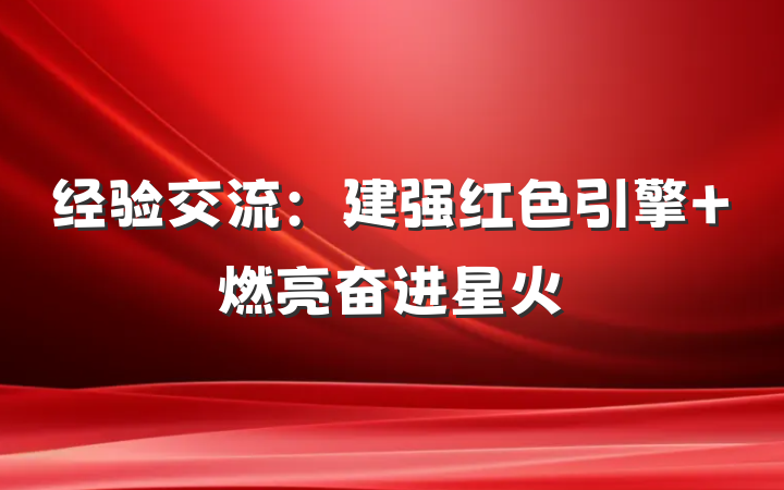 经验交流：建强红色引擎 燃亮奋进星火