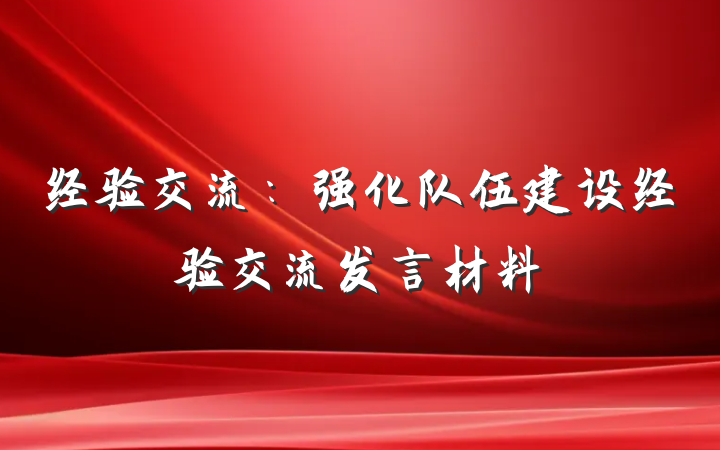 经验交流：强化队伍建设经验交流发言材料