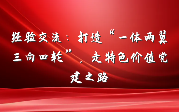 经验交流：打造“一体两翼三向四轮”，走特色价值党建之路