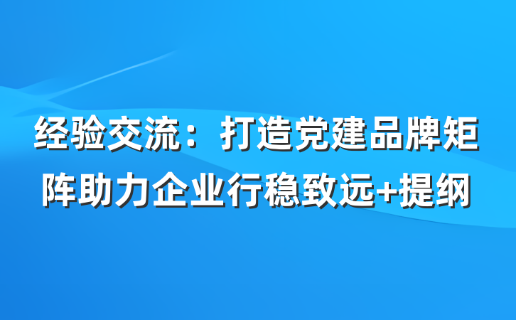 经验交流：打造党建品牌矩阵助力企业行稳致远 提纲