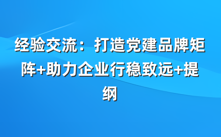 经验交流：打造党建品牌矩阵 助力企业行稳致远 提纲