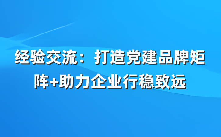 经验交流：打造党建品牌矩阵 助力企业行稳致远