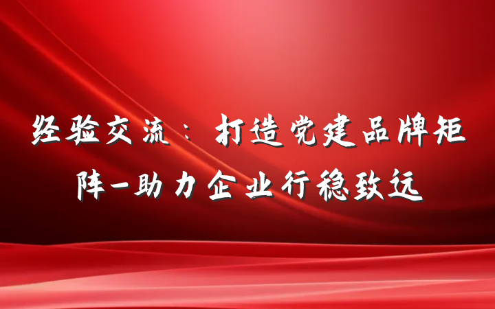 经验交流：打造党建品牌矩阵-助力企业行稳致远