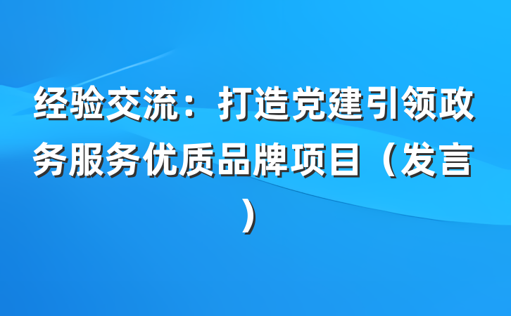 经验交流：打造党建引领政务服务优质品牌项目（发言）