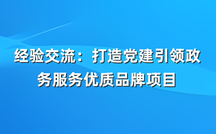 经验交流：打造党建引领政务服务优质品牌项目