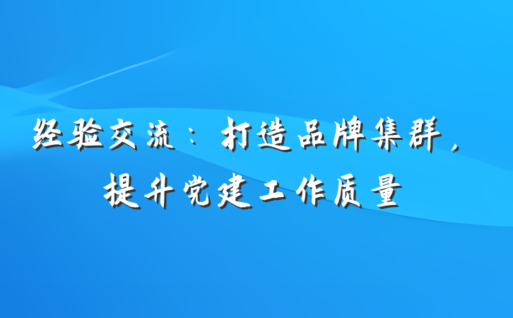 经验交流：打造品牌集群，提升党建工作质量