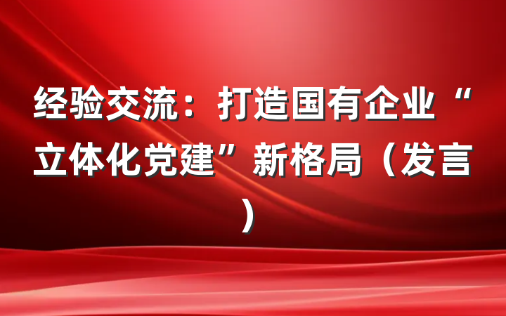 经验交流：打造国有企业“立体化党建”新格局（发言）