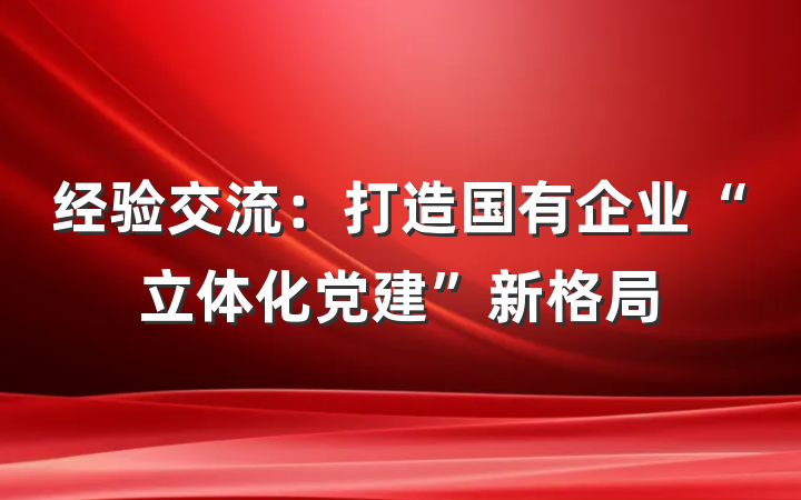 经验交流：打造国有企业“立体化党建”新格局