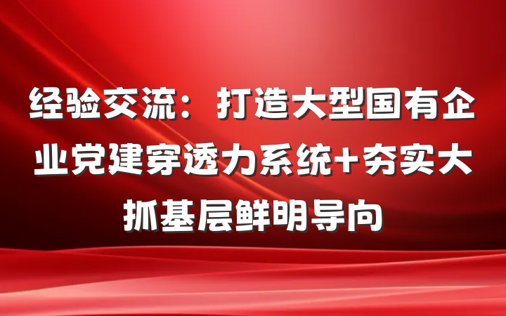 经验交流:打造大型国有企业党建穿透力系统 夯实大抓基层鲜明导向