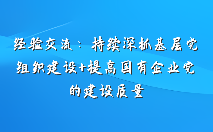 经验交流：持续深抓基层党组织建设 提高国有企业党的建设质量