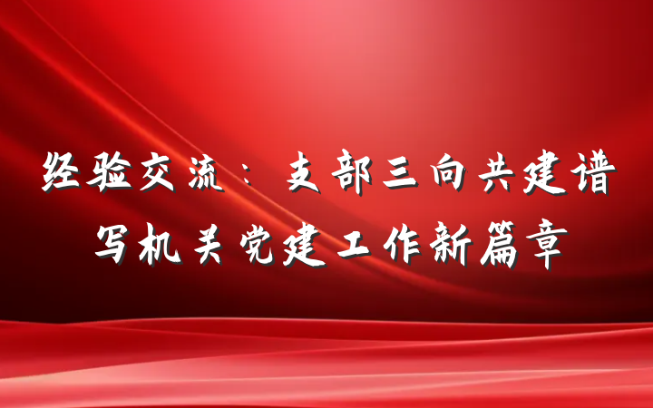 经验交流：支部三向共建谱写机关党建工作新篇章
