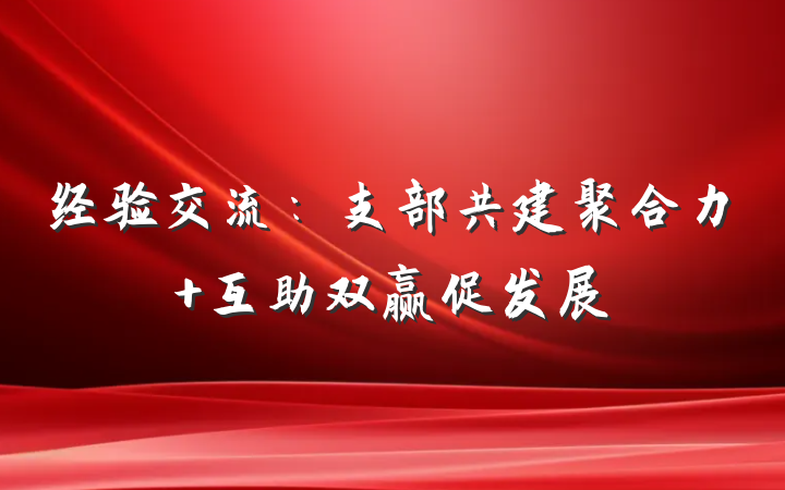 经验交流：支部共建聚合力 互助双赢促发展