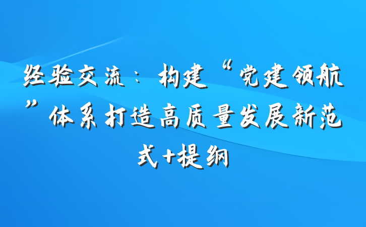 经验交流：构建“党建领航”体系打造高质量发展新范式 提纲