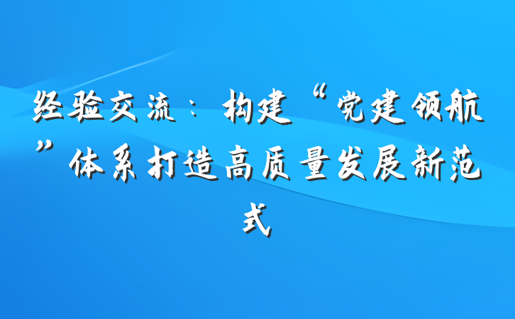 经验交流：构建“党建领航”体系打造高质量发展新范式