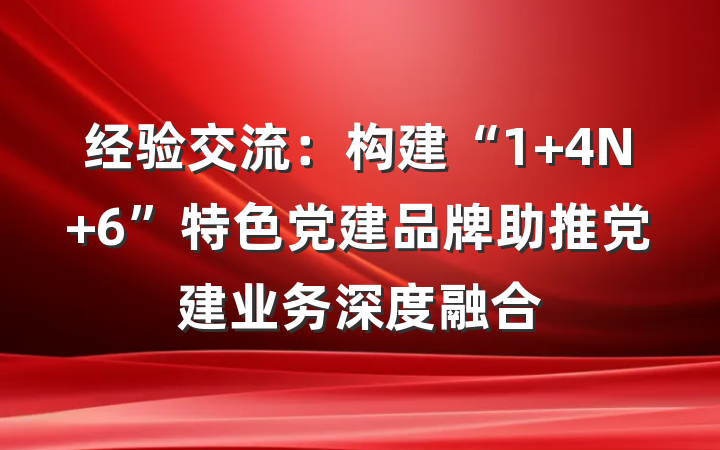 经验交流：构建“1+4N+6”特色党建品牌助推党建业务深度融合
