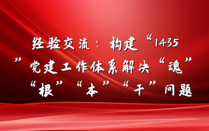 经验交流：构建“1435”党建工作体系解决“魂”“根”“本”“干”问题