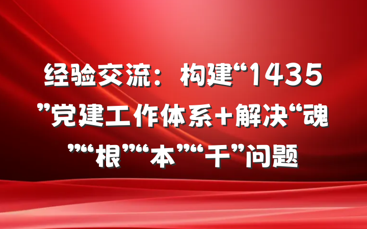 经验交流：构建“1435”党建工作体系 解决“魂”“根”“本”“干”问题
