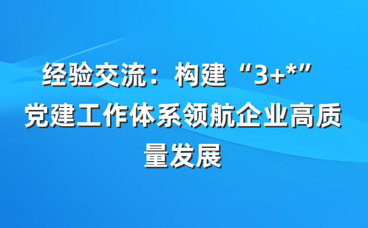 经验交流：构建“3+*”党建工作体系领航企业高质量发展