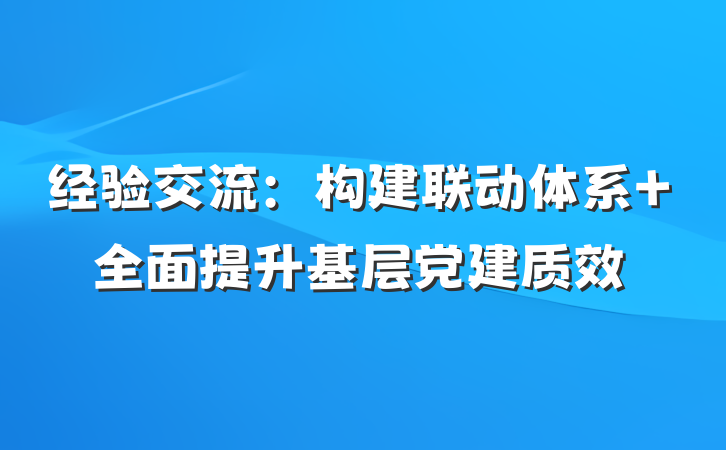 经验交流：构建联动体系 全面提升基层党建质效