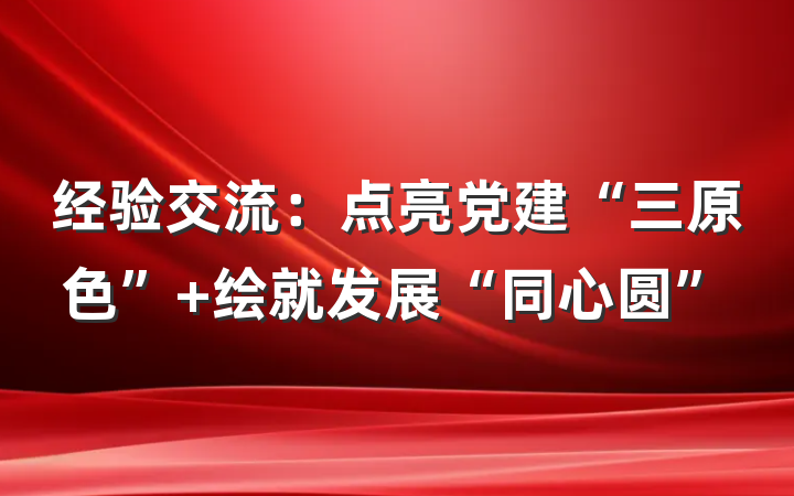 经验交流：点亮党建“三原色” 绘就发展“同心圆”
