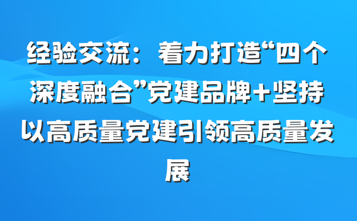 经验交流：着力打造“四个深度融合”党建品牌 坚持以高质量党建引领高质量发展