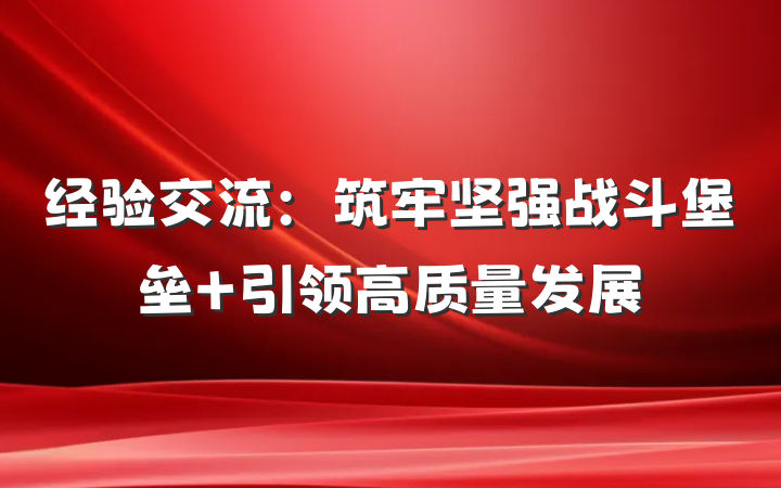 经验交流：筑牢坚强战斗堡垒 引领高质量发展