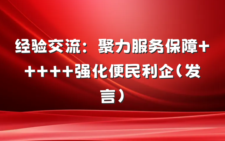 经验交流：聚力服务保障     强化便民利企（发言）
