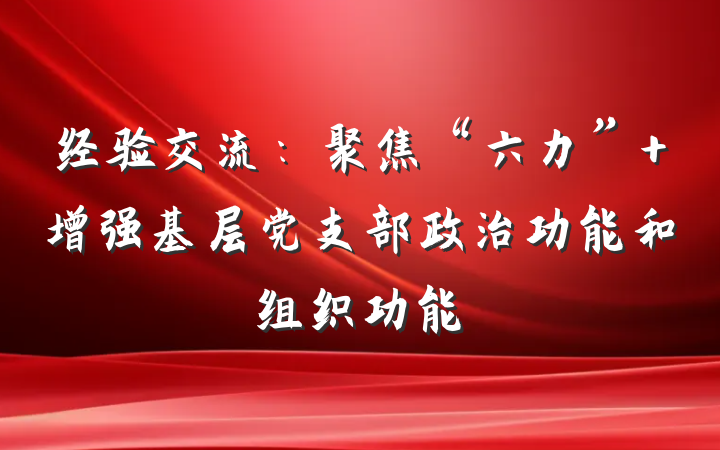 经验交流：聚焦“六力” 增强基层党支部政治功能和组织功能