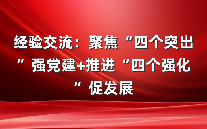 经验交流：聚焦“四个突出”强党建 推进“四个强化”促发展