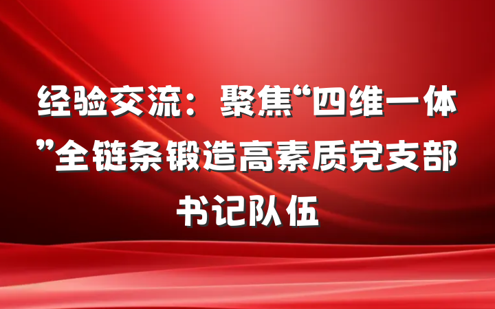 经验交流：聚焦“四维一体”全链条锻造高素质党支部书记队伍