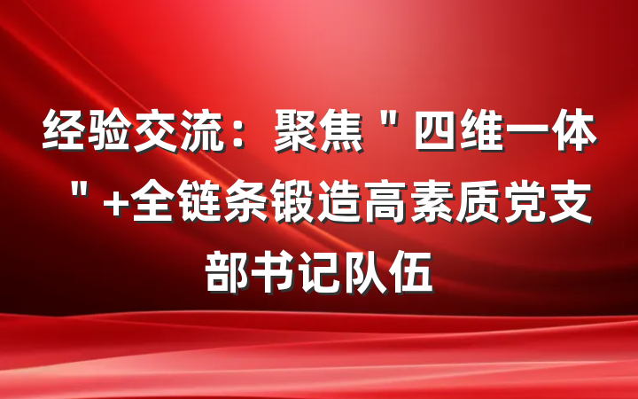 经验交流：聚焦＂四维一体＂ 全链条锻造高素质党支部书记队伍
