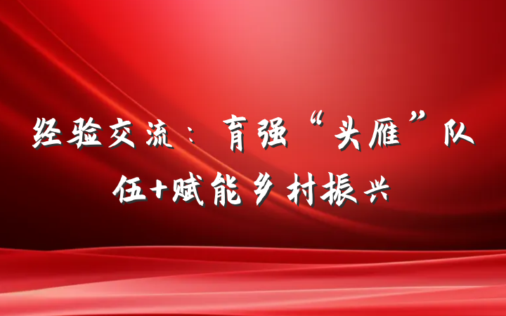 经验交流：育强“头雁”队伍 赋能乡村振兴