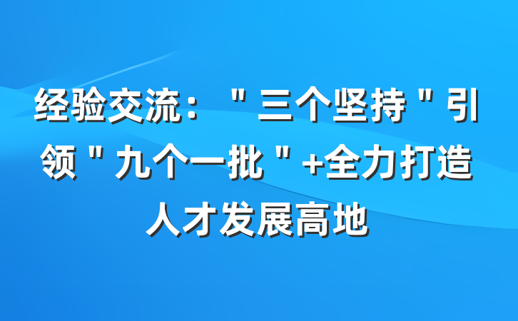 经验交流：＂三个坚持＂引领＂九个一批＂ 全力打造人才发展高地