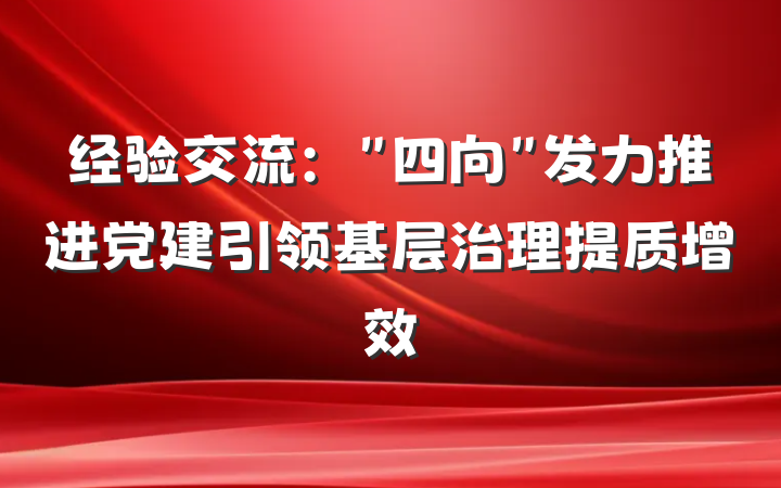 经验交流：＂四向＂发力推进党建引领基层治理提质增效