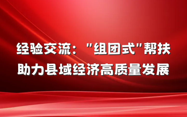 经验交流：＂组团式＂帮扶助力县域经济高质量发展