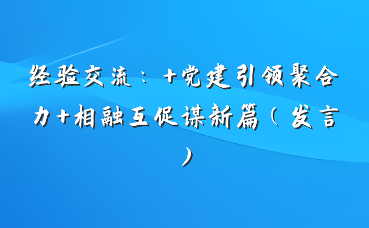 经验交流： 党建引领聚合力 相融互促谋新篇（发言）
