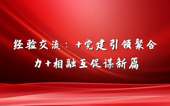 经验交流： 党建引领聚合力 相融互促谋新篇