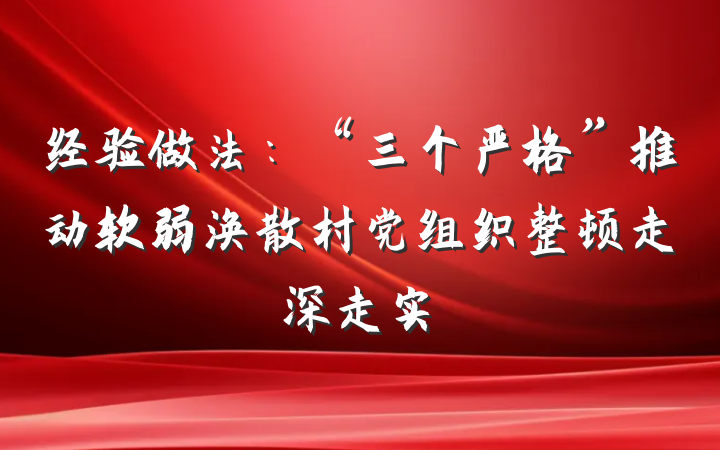 经验做法：“三个严格”推动软弱涣散村党组织整顿走深走实
