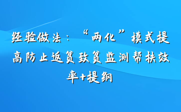经验做法：“两化”模式提高防止返贫致贫监测帮扶效率 提纲