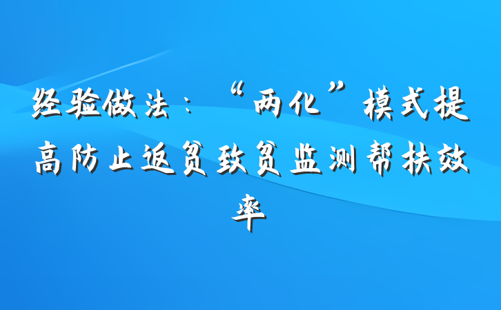 经验做法：“两化”模式提高防止返贫致贫监测帮扶效率